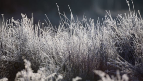 Frost and icy conditions expected for Co Kildare overnight