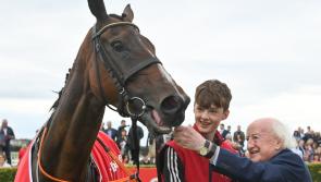 Irish horse bought for €850 wins American Grand National