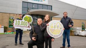 Glanbia giving away free trees in Kildare to celebrate hitting landmark biodiversity target