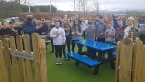 Blessington Allotments Campaign help 194 local students grow strawberries