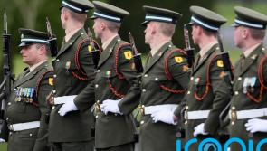 Report reveals a 'strong sense of crisis' in Ireland's Defence Forces