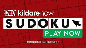Kildare Now Interactive Sudoku Puzzle