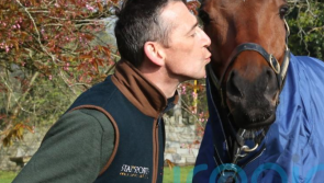 Davy Russell wants one last hurrah with 'very special  horse' Tiger Roll