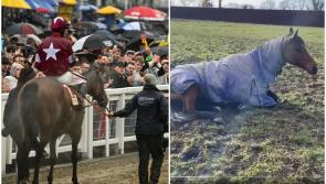 WATCH: Tiger Roll living up to his name and already enjoying retirement after Cheltenham