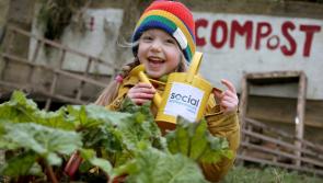 €140,000 funding available for Kildare's social entrepreneurs 