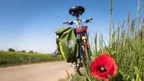 Kildare County Council proposes new cycle scheme in Maynooth