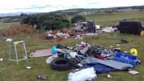 'Utterly inexcusable': Kildare Senator hits out at litter levels in south of the county