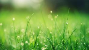 KILDARE WEATHER: Mixed bag this weekend with outbreaks of rain expected