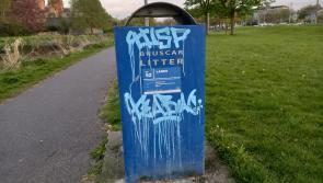 CCTV will be used to identify those leaving litter in Kildare