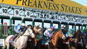 Kildare based company partners with $1 million dollar US horse race