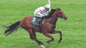 Kildare racing review: Aidan O'Brien racks up an impressive treble at Naas