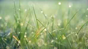 WEATHER: An unsettled weekend ahead with heavy showers and spells of sunshine 