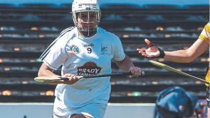 Defeat for Kildare pushes them into camogie relegation battle