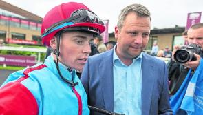 Kildare jockeys and trainers have strong Derby festival weekend