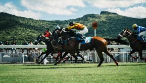 Group 1 winner La Petite Coco given option of quick reappearance at Leopardstown