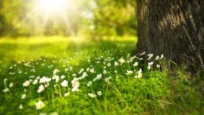KILDARE WEATHER: Mostly dry and sunny today with temperatures hitting 22 degrees