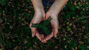 Sustainability talks for adults and children to take place in Newbridge, Kildare, this weekend