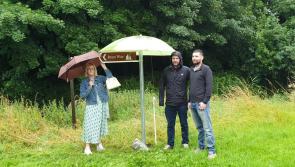 Memorial is erected to Kildare assault victim