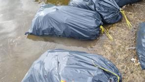 NEWS BRIEF: Kildare County Council condemns black bags of rubbish dumped in Monasterevin