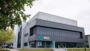 100 new highly skilled jobs to be created in county bordering Kildare