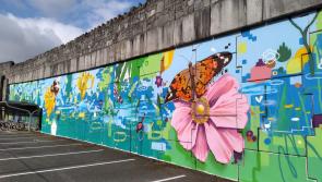 Iarnród Éireann and Tidy Towns group unveil new street art at Sallins & Naas, Kildare, train station