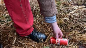NEWS BRIEF: Business to host clean up event in Kildare