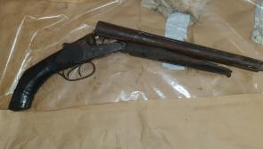Dogs, horses, drugs and a firearm seized on Kildare border 