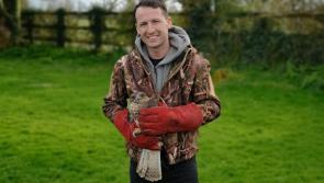Kildare Wildlife Rescue partnering up with Dublin Zoo for conservation venture