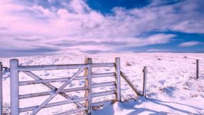 ‘Safety must always be the number one priority’: Kildare TD urges safety first ahead of the cold snap