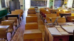 Senator calls meeting with Minister Foley on school place issues in South Kildare