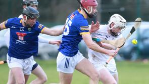 Kehoe Cup: Kildare scrape win over Wicklow