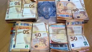 BREAKING: €130,000 in cash seized by Kildare gardaí on the N7, woman arrested