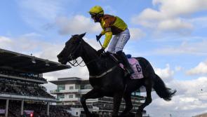 Punchestown 2023: Grade 1 entries announced