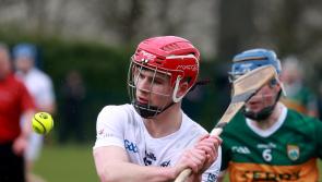 U20 Leinster Hurling: Kildare defeat Kerry