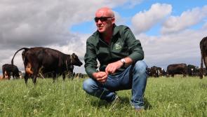 Irish dairy farming - An industry built on over 6,000 years of expertise
