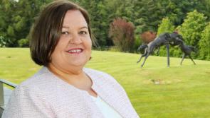 Punchestown Festival 'will deliver a great week' for punters - Kildare-based HRI boss 