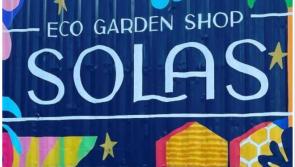 Fun-filled summer at SOLAS: Plant swap and milkshakes