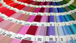 Colour of man’s beard debated during  Kildare courtroom hearing