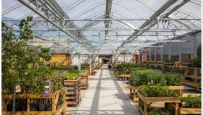 Sustainable fun, farmers market and family BBQ: The ultimate summer at SOLAS