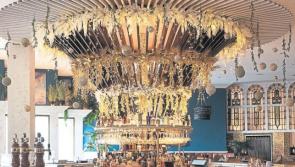 KILDARE RESTAURANT REVIEW: Vi’s Restaurant at Lawlor's of Naas dazzles and delights