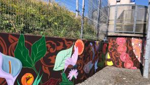 PHOTOS: School paints large mural at train station in Newbridge, County Kildare