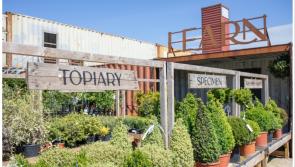 Forest Fest Weekend: Afternoon Tea & Chill out at Nearby SOLAS