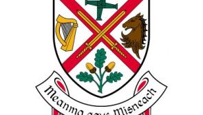 ALERT: Surface water maintenance inspection works to take place on Dublin Road, Naas, County Kildare