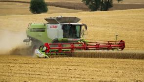 'Pure craziness' - Farmers at odds with Electric Picnic over date clash