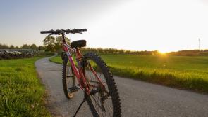 Gardaí investigating unauthorised taking of a bicycle at Derrinturn, County Kildare