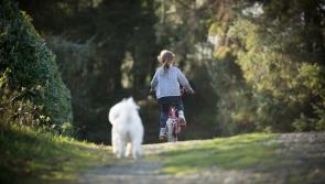 On your bike! ISPCA urges animal lovers to join 'Cycle Away from Cruelty' campaign