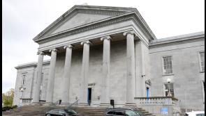 'I just heard the screams out of him,' boy tells gardai of his friend, 12, in Niall Gilligan court case