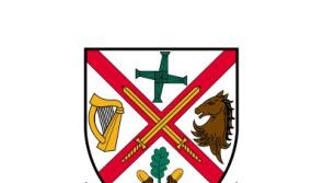 KCC &lsquo;really needs a vision&rsquo; for space located in North Kildare &mdash; Councillor