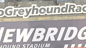 Monday night Dogs at Newbridge