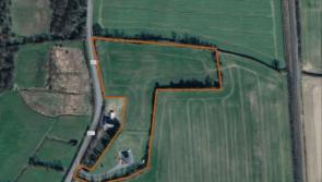 PHOTOS: Have a look at fantastic six-bed property on five acres on Kildare border 